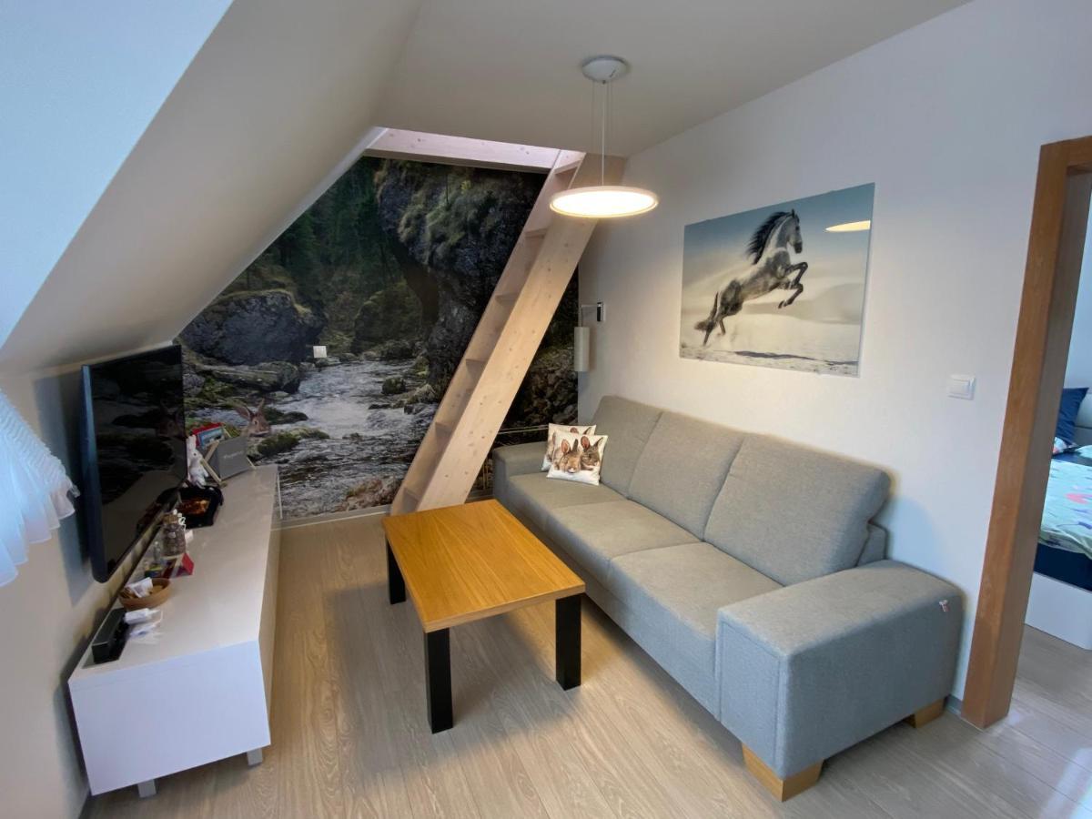 Apartment Zajko